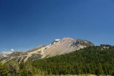 DSC_0247 (Large).JPG